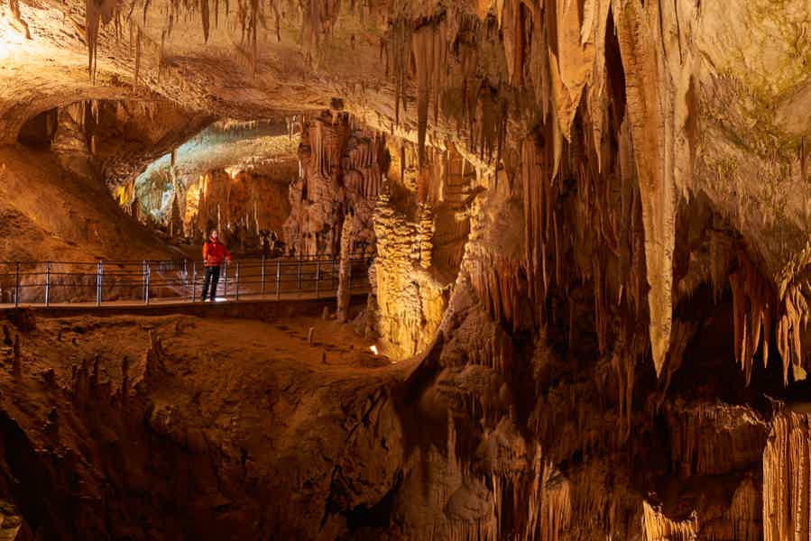 Топ 3 в один. Постойнская пещера, Предьямский замок, озеро Блед  - фото 4