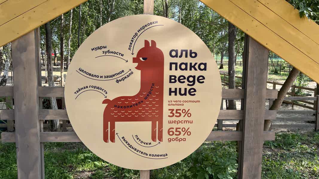Свияжск + парк с волшебными животными - фото 6