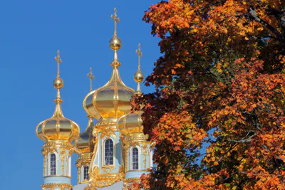 Индивидуальная экскурсия в Пушкин на микроавтобусе