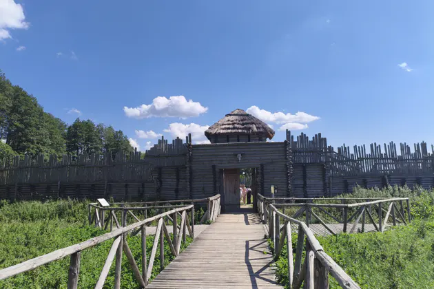 Уникальная одиссея в самое сердце Беловежской пущи на микроавтобусе — фото 2