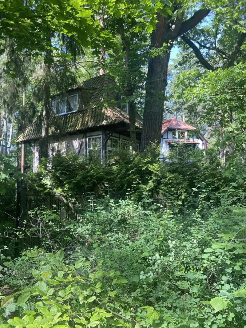 «Янтарное ожерелье»: Балтийск, Янтарный и Светлогорск. — фото 6
