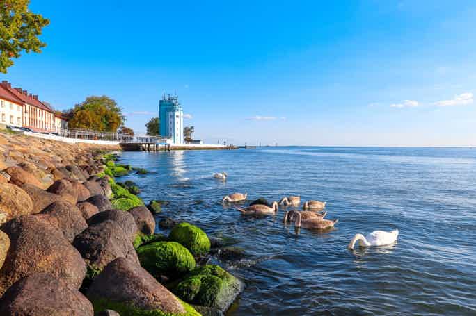 Янтарное побережье из Зеленоградска