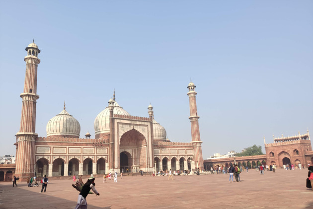Удивительная обзорная экскурсия по Дели