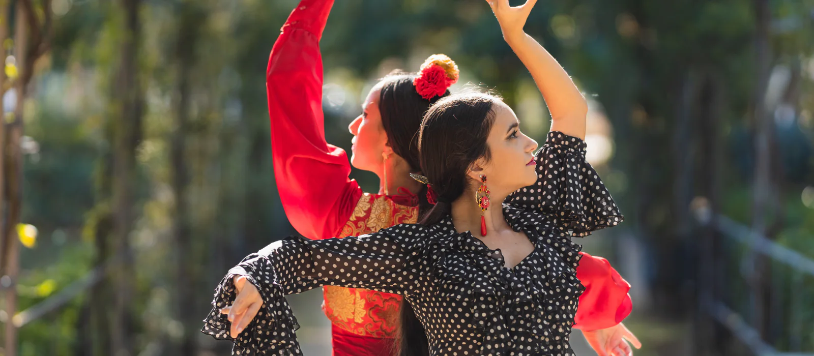 Входные билеты на шоу Puro Flamenco и в Музей танца — экскурсия, Севилья, Испания | Покатаем