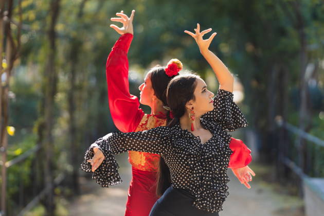 Входные билеты на шоу Puro Flamenco и в Музей танца