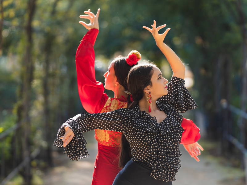 Входные билеты на шоу Puro Flamenco и в Музей танца