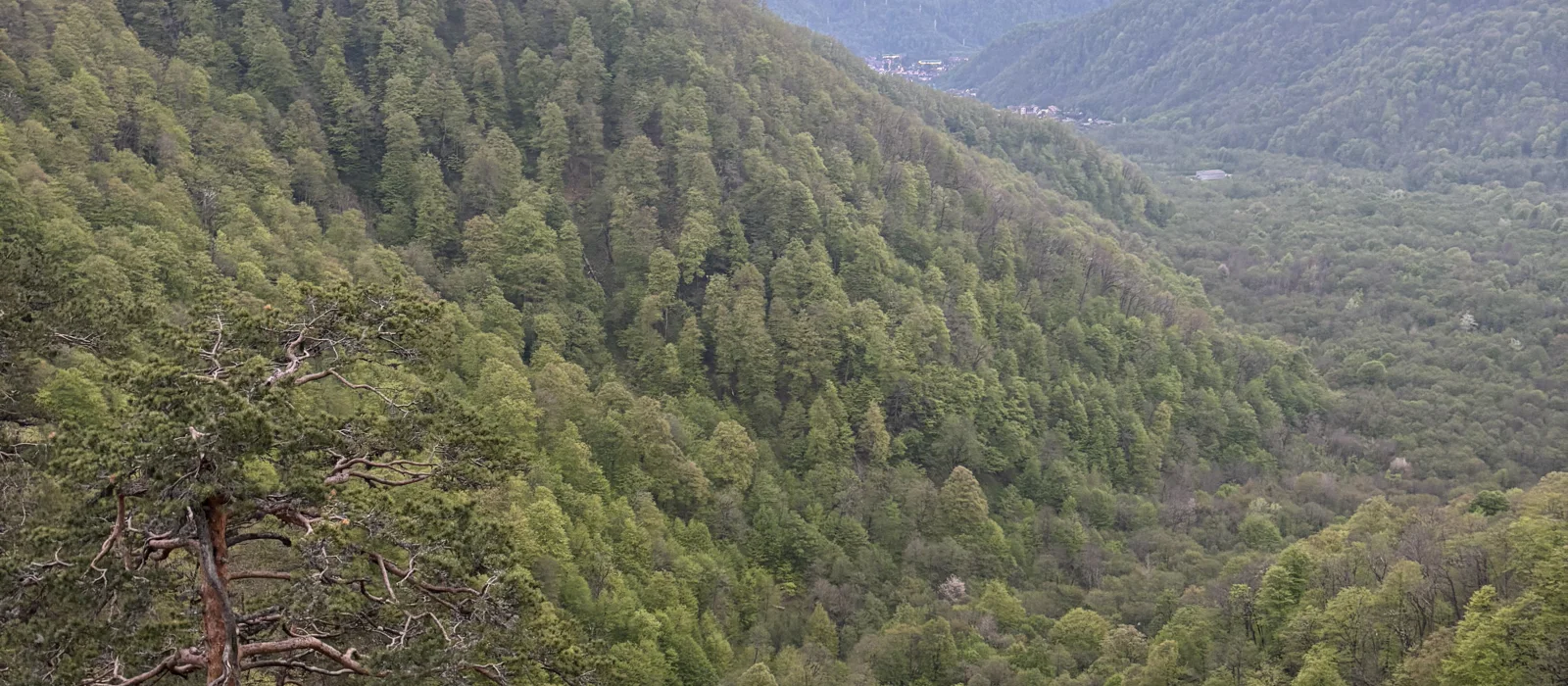 Красная Поляна: Скала Сосновая и купание в купели — экскурсия, Красная Поляна, Россия | Покатаем