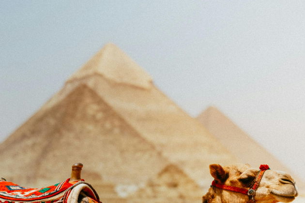 Пирамиды + Большой Египетский музей + Круиз по Нилу