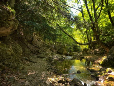 Большой каньон Крыма