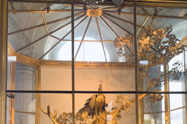 Виды Экспресс-знакомство с Петербургом: прогулка на авто + Эрмитаж