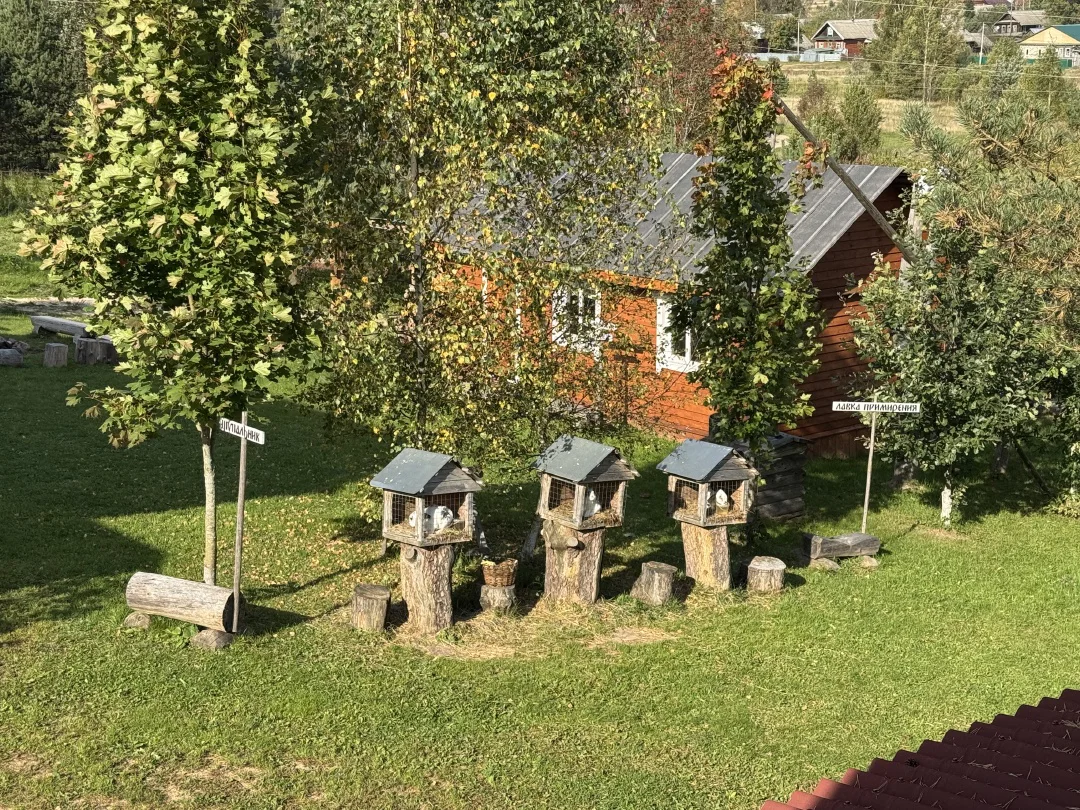 Купальская ночь в Тверской Карелии, кадр 4