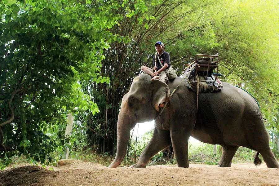 Приключение с адреналином в Таиланде: рафтинг (спуск по реке) + квадроциклы + катание на слонах + водопад - фото 4