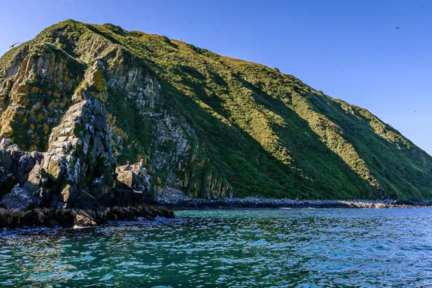 Морская прогулка к острову Старичков: морская рыбалка и крабовое сафари — фото 2