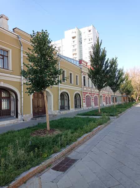 Полуоткрытые прелести Римской - фото 6