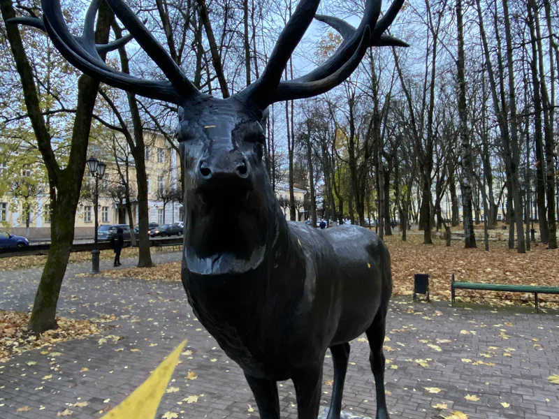 «Первое знакомство» — обзорная экскурсия с местным жителем — фото 3, Смоленск | Покатаем