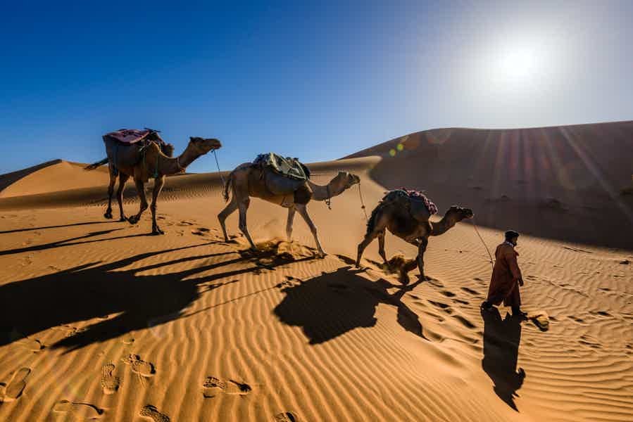 Путешествие в Сахару с поездкой на джипах и прогулкой на верблюдах - фото 3