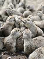 Экскурсия "На Джилы-Cу в мини-группе: путешествие в русскую Исландию" - фото отзыва 1