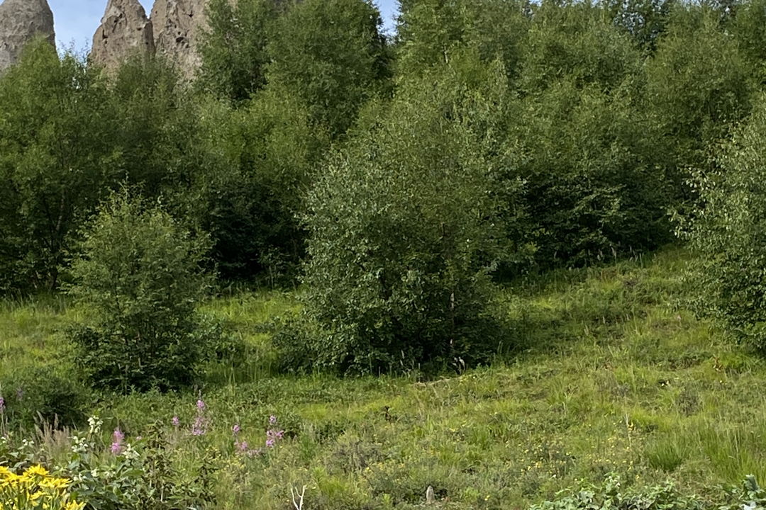 Урочище Джилы-Су и самая красивая дорога в России — фото 8