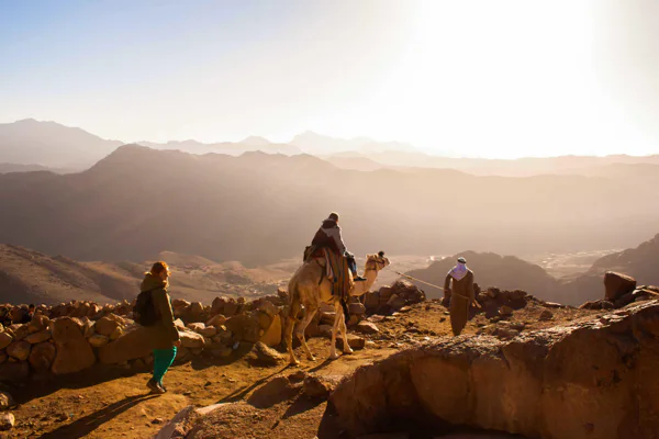 Mount Moses and St Catherine's Monastery at sunrise — photo 7, Sharm-el-Sheikh | Pokataem