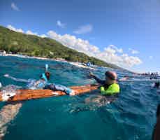 Экскурсия "Незабываемый день на Себу - снорклинг с акулами, сардинами и черепахами " - фото отзыва 3