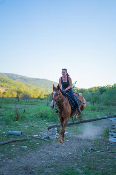 Прогулка на лошадях и общение с животными  - фото 1