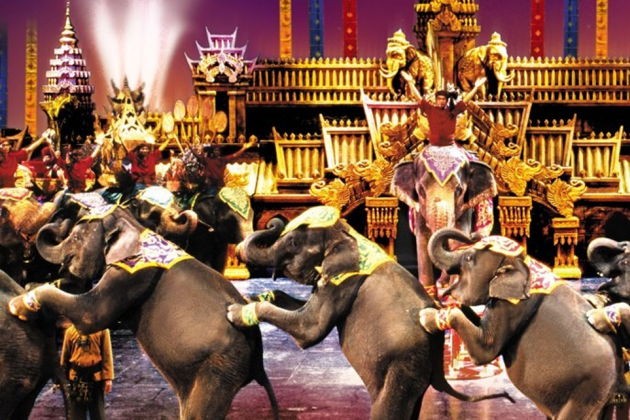 Фото к экскурсии Шоу «Фантазия»