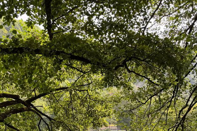 Виды Индивидуальная экскурсия в Черекское ущелье