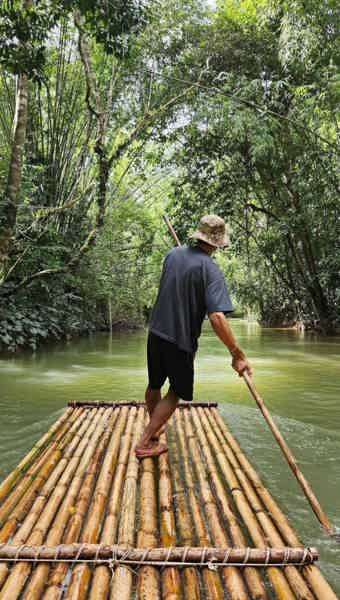 Аватар: Гигантские кувшинки. Самет Нангше. Слоны. Плоты. Квадроциклы. Закат - фото 5