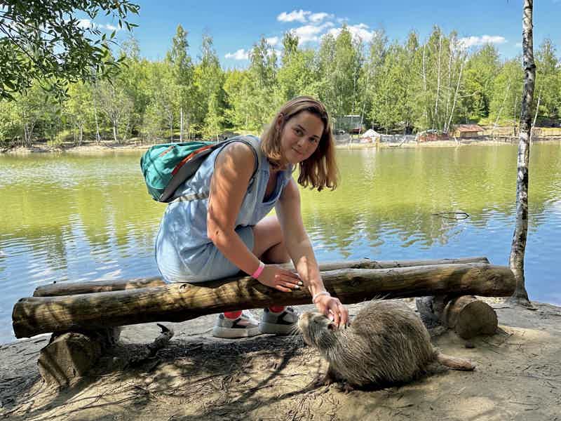 Из Тулы — в Богородицкий дворец-музей и на экоферму с заездом в Кондуки - фото 5