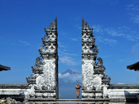 Лес обезьян