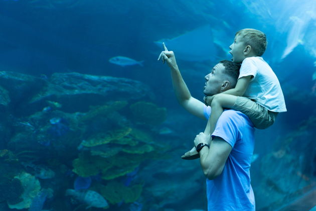 Входной билет в «Подводный мир Лангкави» с подводным туннелем