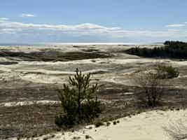 Экскурсия "Исторический путь: замок Шаакен, Куршская коса и Зеленоградск" - фото отзыва 5