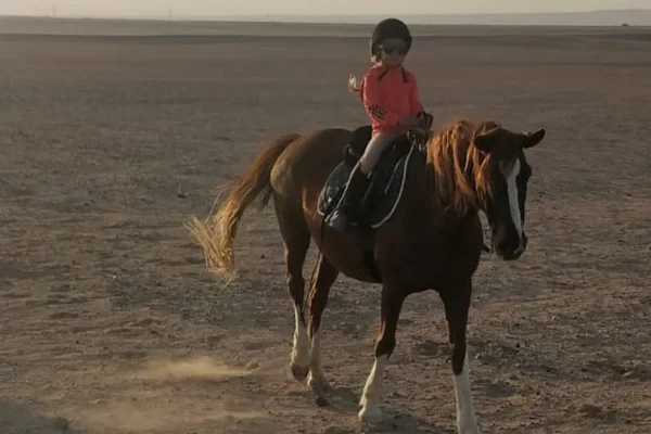 Horseriding in Hurghada — photo 5, Hurghada | Pokataem