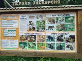 Экскурсия "Три в одном: тур в сафари-парк и бухты Шамора и Стеклянная" - фото отзыва 1