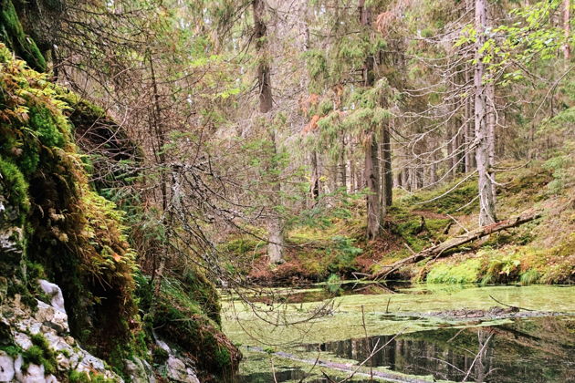 Виды  «В поисках Ладожских сокровищ» — тур по шхерам