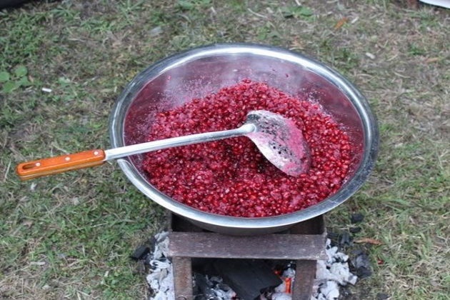 Виды Мистика горы 