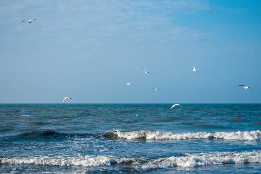 Чудеса Куршской Косы-сосны,море,янтарные дюны - фото 1