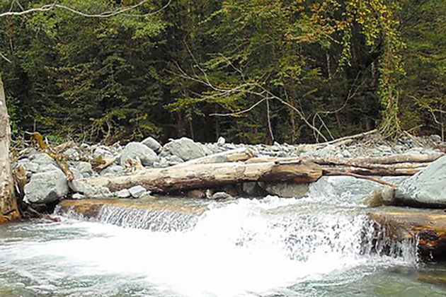 Виды Лагодехский заповедник