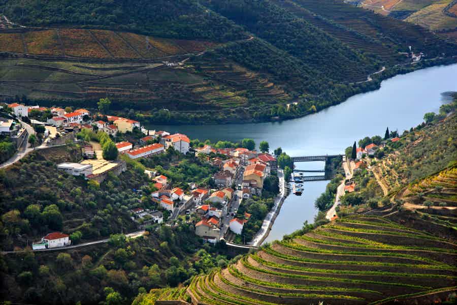 Douro and Port Wine Pedestrian Tour w/ Tastings - photo 3