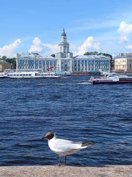 От Спаса на крови до Исаакиевского собора: ожерелье храмов и дворцов - фото 3