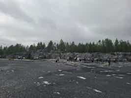 Экскурсия "Ретропоезд, олени, водопады и увеличенное время в парке Рускеала" - фото отзыва 3