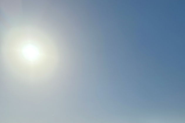 Виды Пустынное Сафари в Дубае с ужином, шоу и катанием на верблюдах