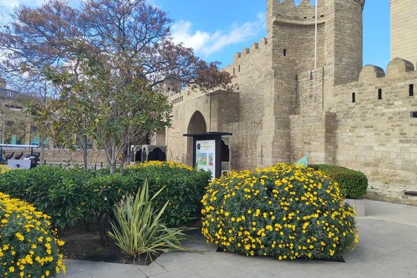 Sunny Baku — photo 7, Baku | Pokataem