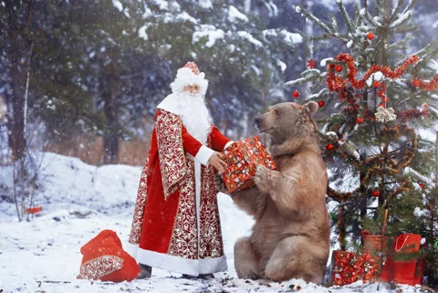 Волшебная сказка: в гости к Деду Морозу