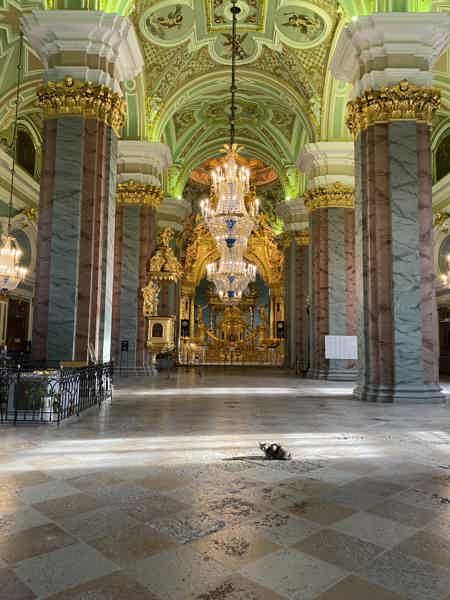 Петропавловская крепость — Петровский бриг в светлое будущее - фото 6