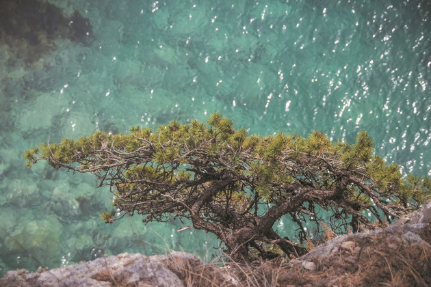 Полуостров Гамова — бирюзовое море, краснокнижные сосны и потрясающие виды
