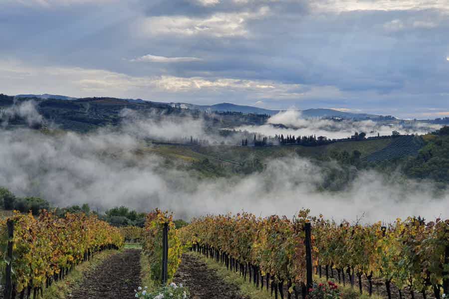 Florence: Wine Roads, Chianti Villages and San Gimignano - photo 6