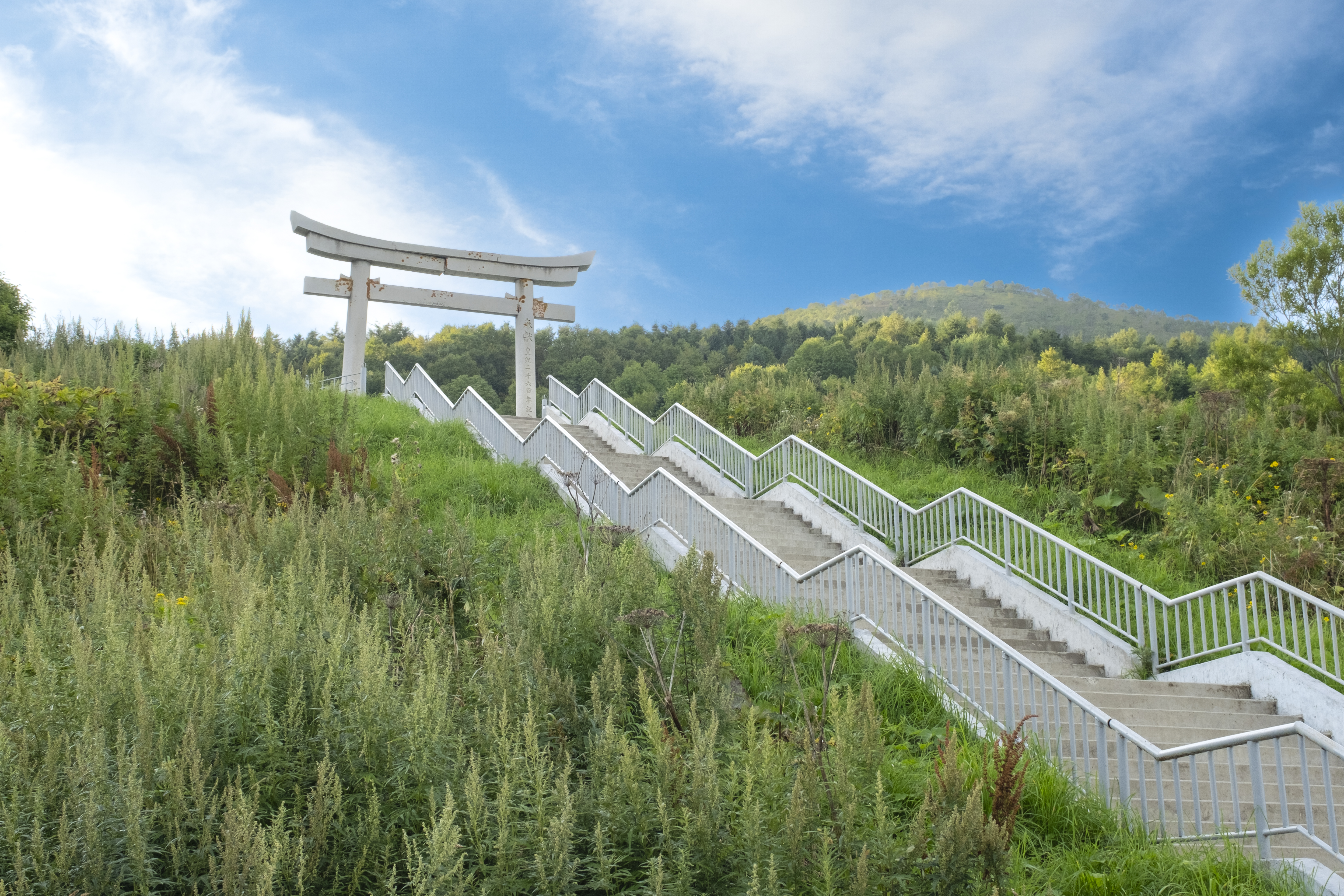 Открыть Сахалин: Охотское море, японские тории и бухта Тихая (до 8 гостей) (10/13)