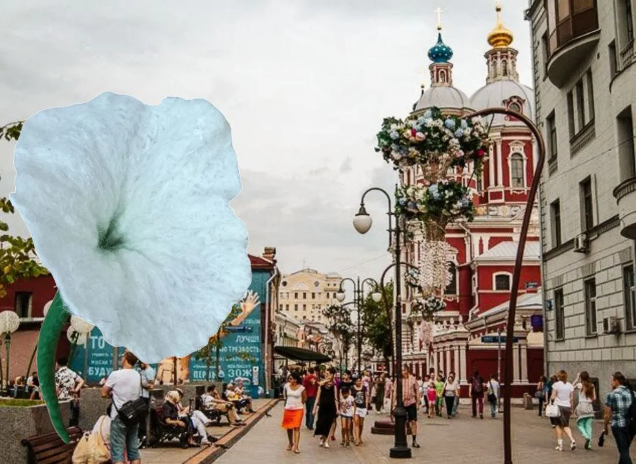 Тайны Замоскворечья: следы старой Москвы (экскурсия + мастер-класс) — экскурсия, Москва, Россия | Покатаем