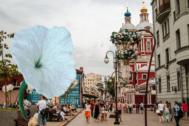 Тайны Замоскворечья: следы старой Москвы (экскурсия + мастер-класс)